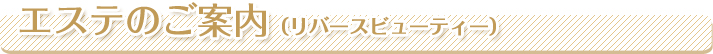 館内のご案内